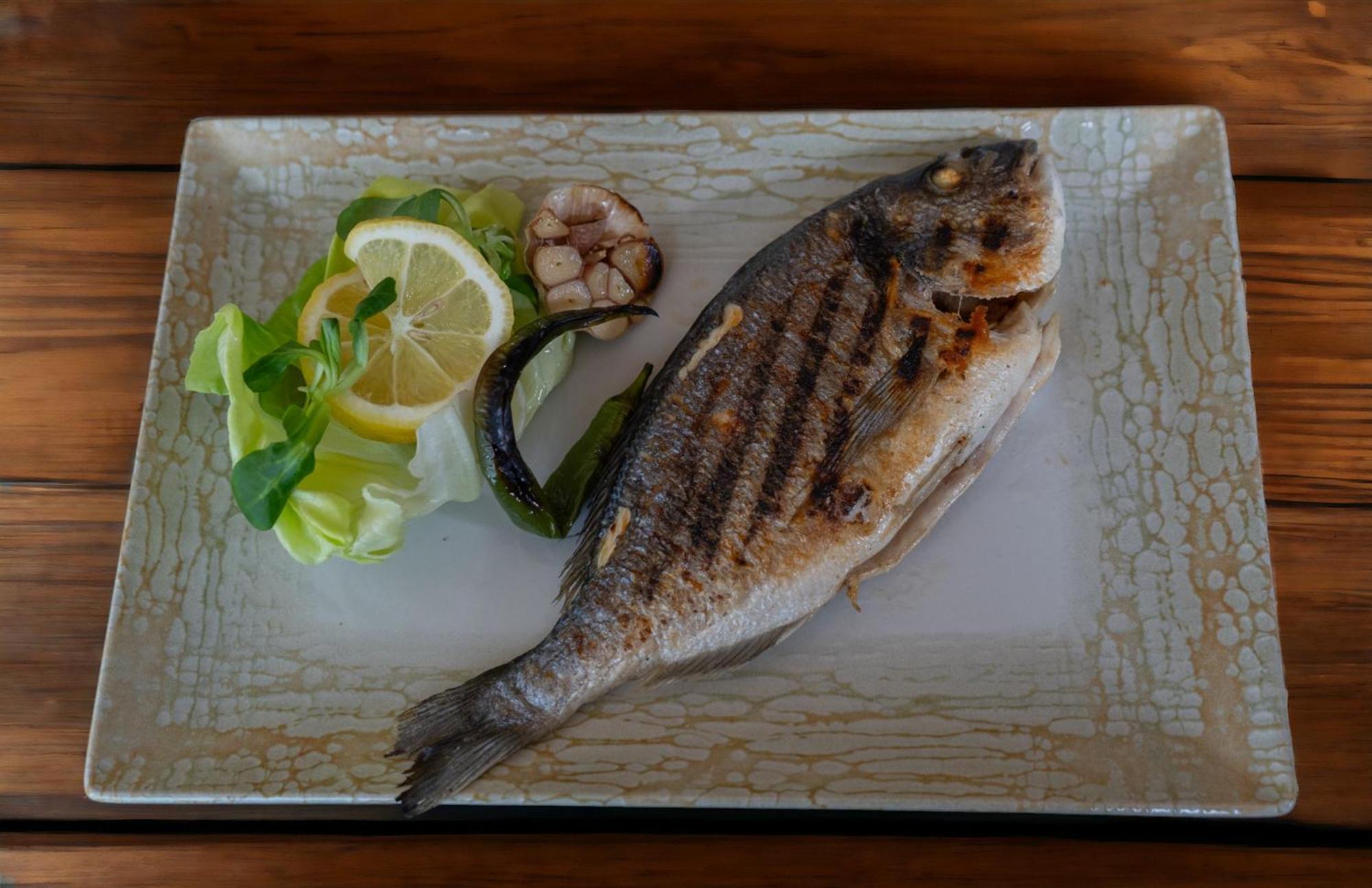 Chisoda Hotel Aurelia מראה חיצוני תמונה