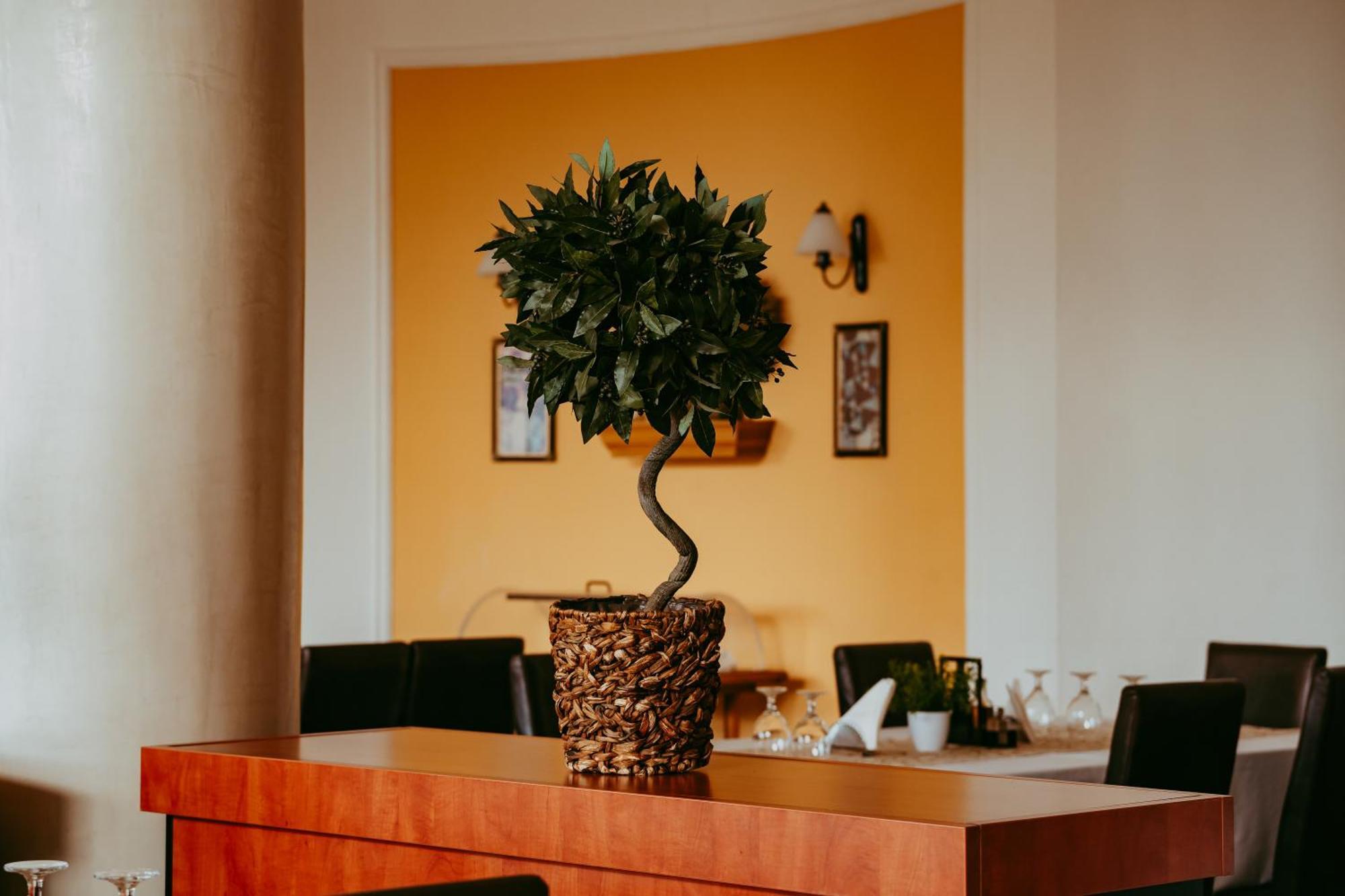 Chisoda Hotel Aurelia מראה חיצוני תמונה