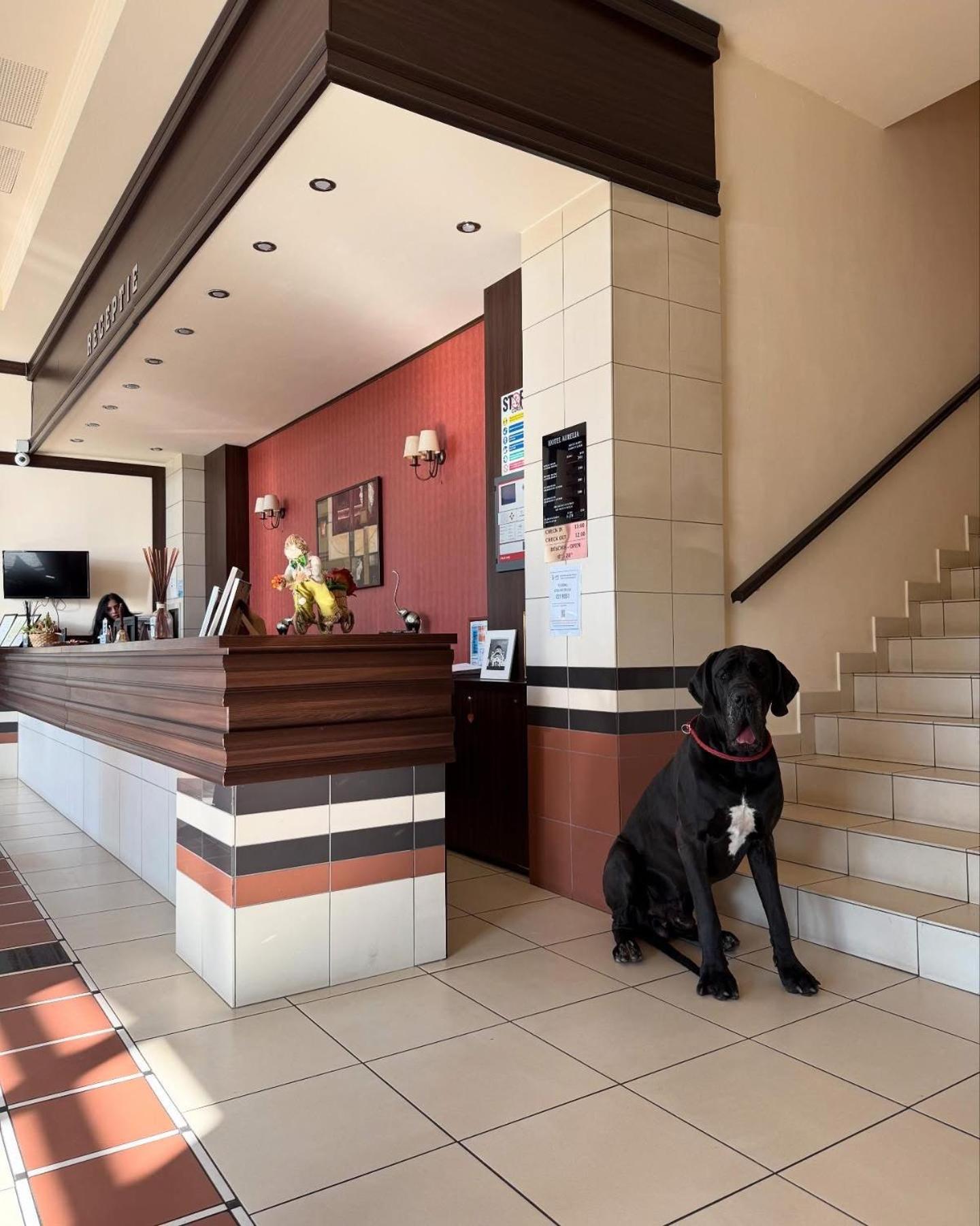 Chisoda Hotel Aurelia מראה חיצוני תמונה